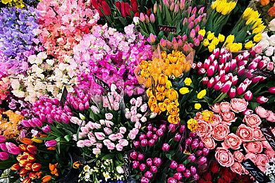 《黎明杀机》官宣联动《玩具熊的五夜后宫》2025年启动